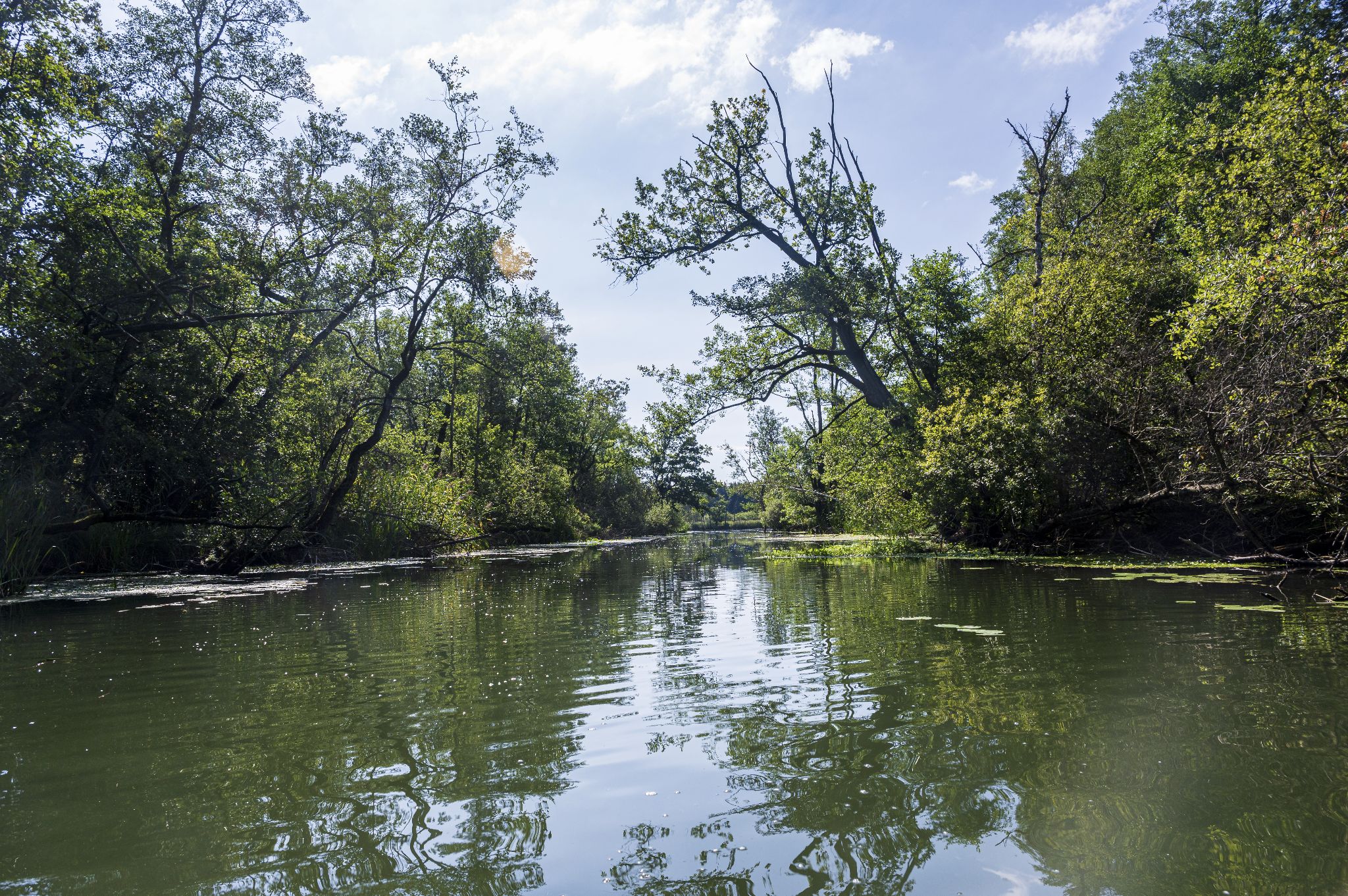 Kajaktour Leutstettner Moos 21.08.2022